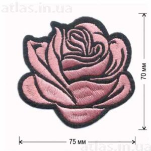 розовый бутон розы