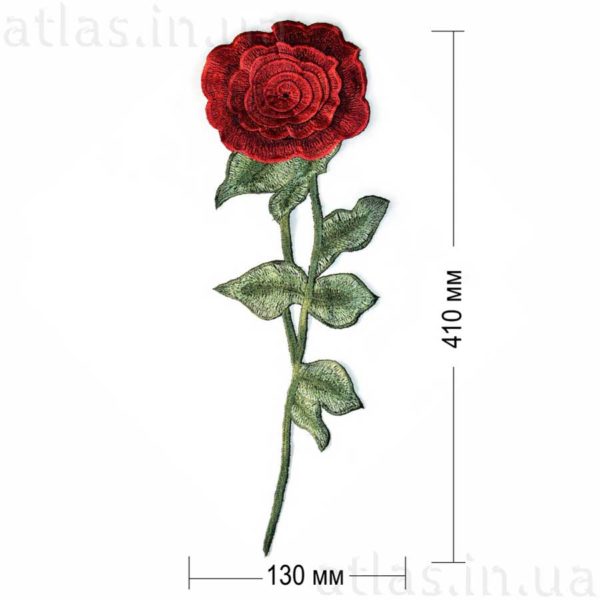 красивая красная роза