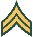 Подвійний шеврон, який використовується в американській армії