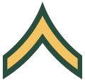 Одинарний шеврон, який використовується в американській армії