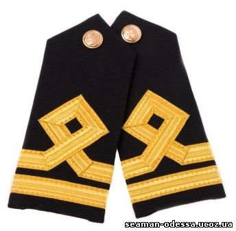 Embroidered epaulettes