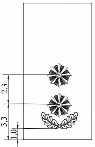 Підполковник поліції України
