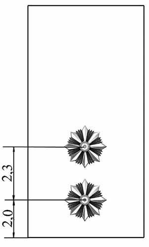 Лейтенант поліції України