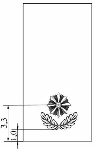 Майор поліції України