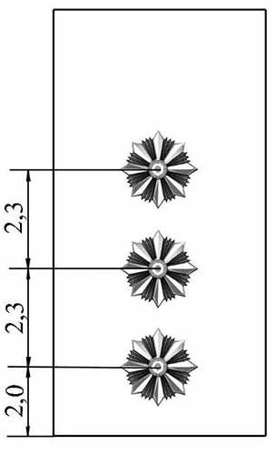Старший лейтенант поліції України
