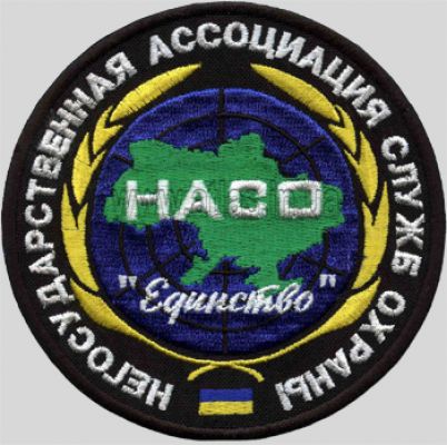 Вышитая нашивка НАСО Единство